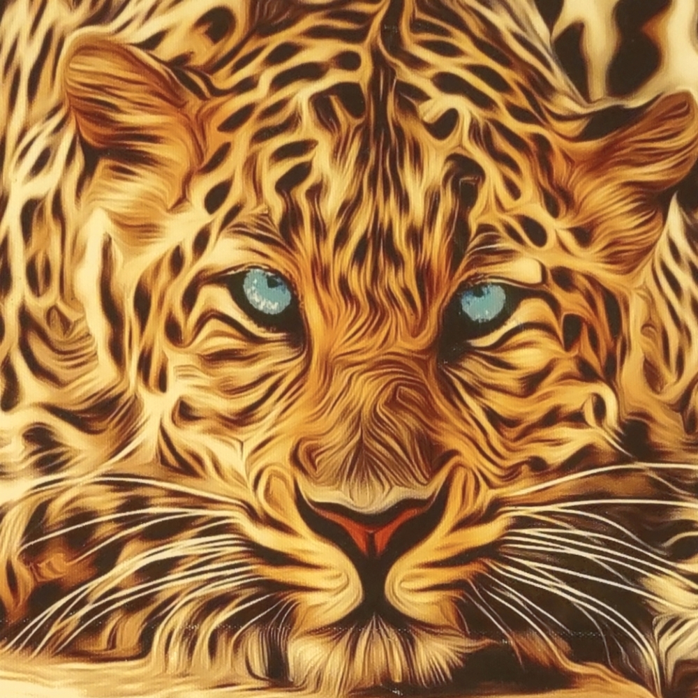 Eye of The Tiger Sale